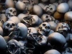 Low View, Lots of Skulls filling the Screen Stock Footage