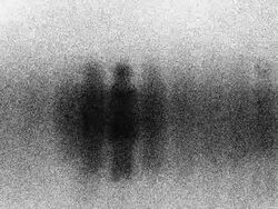 WOMAN : dense, white back - (TRANSITION) Stock Footage