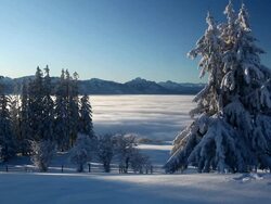 moving mist Stock Footage