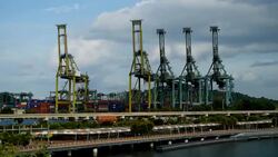 Timelapse crane shipping cargo at singapore Stock Footage