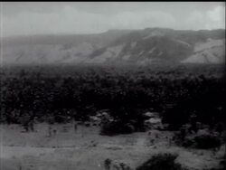 THE BATTLE OF NEW GUINEA - News Clip