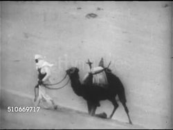 1953: TROUBLED MOROCCO: WS Men in traditional desert clothing leading camels over Sahara sand (poor focus), TU WS USAF Convair B-36 bomber in flight away. Instructional Video