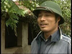 Fears bird flu transmit to pigs, WHO says doesn't transmit from people to people Instructional Video