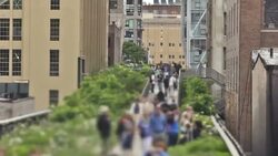 New York Highline Zoom Stock Footage