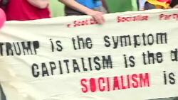 Anti-capitalist demonstrations outside the G20 Summit in Hamburg News Clip