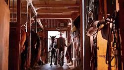 DS Cowgirl leading her horse into the stable Stock Footage