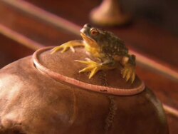 Skull and gong on display in Agatha Christie house News Clip