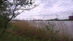 Olkiluoto Nuclear Power Plant News Clip