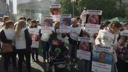 Thousands call for full legalisation of cannabis News Clip