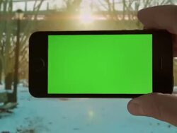 Selfie Green screen Chroma key Park sunset Male One Person Stock Footage