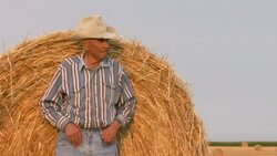 An elderly farmer in a cowboy hat leans against a hay roll. Stock Footage