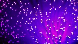 Fibre optic cables. Stock Footage
