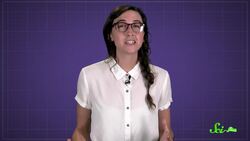 Are Plastic Dinosaurs Made from Real Dinosaurs?! Instructional Video