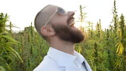 Stoned. Stock Footage