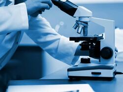 Researcher looking into a microscope in laboratory. Stock Footage