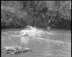 A HOLIDAY VISITOR News Clip