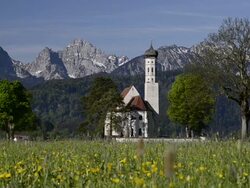 MS Church in spring flower field  / FÃƒÂ¼ssen, Bavaria, Germany  Stock Footage