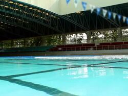 Swimmer practice breaststroke for competition Stock Footage