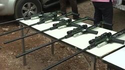 CLEAN : Tug of war resumes over Thai temple tigers News Clip