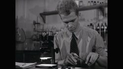 MS Man analysing object through microscope in lab / United States Stock Footage