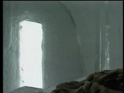 British Royal Family, Sweden - Ice Hotel, South Africa - Zoo Wedding, South Africa News Clip