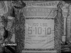 1950s: CULTIVATING FARMLAND: VS Male unloading truck full of bags of 'plant food & soil builder,' pouring contents of bag into cultivator machine, male farmer driving tractor pulling cultivator on farm. Agriculture, farming, legume, fertilizer Instructional Video