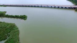 Swampy Delta Old River and Lost Lake near Texas Louisiana Border Stock Footage