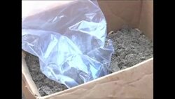 CLEAN : Kenya police seize weapons in fresh mosque raids News Clip