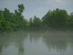 WS Low mist hovers above Mississippi river surface / New Orleans, Louisiana, United States Stock Footage