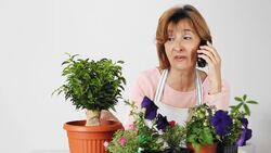 The Telephone Order Stock Footage