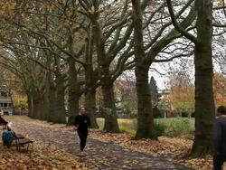 MS People walking on street / Saarbrucken, Saarland, Germany  Stock Footage