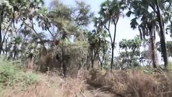 SudanÃ¢Â€Â™s oldest nature reserve now popular tourist destination Instructional Video