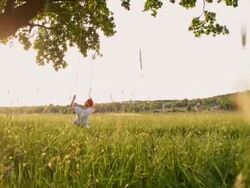 SLO MO Woman enjoys swinging on tree swing Stock Footage