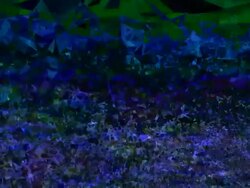 series transcendental fields : from horizon, dark (TRANSITION) Stock Footage