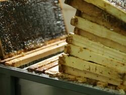 Frames with open cells to proceed to the step of filtering Stock Footage