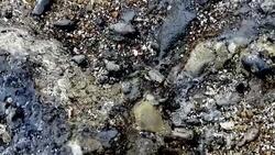 crab in the rocks in  los frailes ecuador Stock Footage