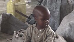 CLEAN : Congolese refugees need help as News Clip