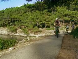 HD: Family Cycling Along The Coastline Stock Footage