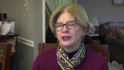 Analyst on Fiat Chrysler pollution allegations Instructional Video