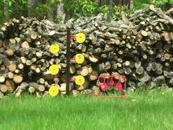 Target Practice 2 NTSC Stock Footage