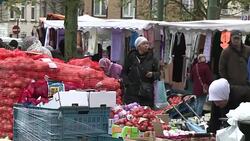 CLEAN : Business as usual in Brussels despite Paris attack links News Clip