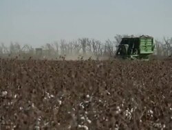 Long Shot static - A cotton picker and a tractor move through a field of cotton in Oklahoma. / Oklahoma, USA Stock Footage