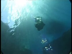 Snorkler swimming in sunbeams through water, MS, Tonga Stock Footage