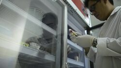 Asia medical technician woman doing quality control of blood bag during storage refrigerator in laboratory hospital Stock Footage