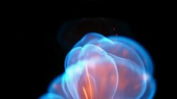 Mesmerising fire Stock Footage