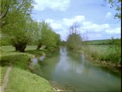 T/L river Windrush, lapse time/locked shot, clouds pass left to right, willow trees, May Stock Footage