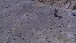 A volcanologist stands atop a volcanic crater on the Kamchatka Penninsula, Russian Federation. Stock Footage