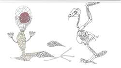 TED-Ed: The carbon cycle - Nathaniel Manning Instructional Video