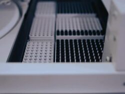 Blood screening (HD) Stock Footage