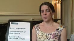 CLEAN : British business calls for cool heads over Brexit negotiations News Clip